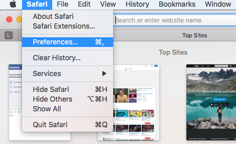 safari preferences