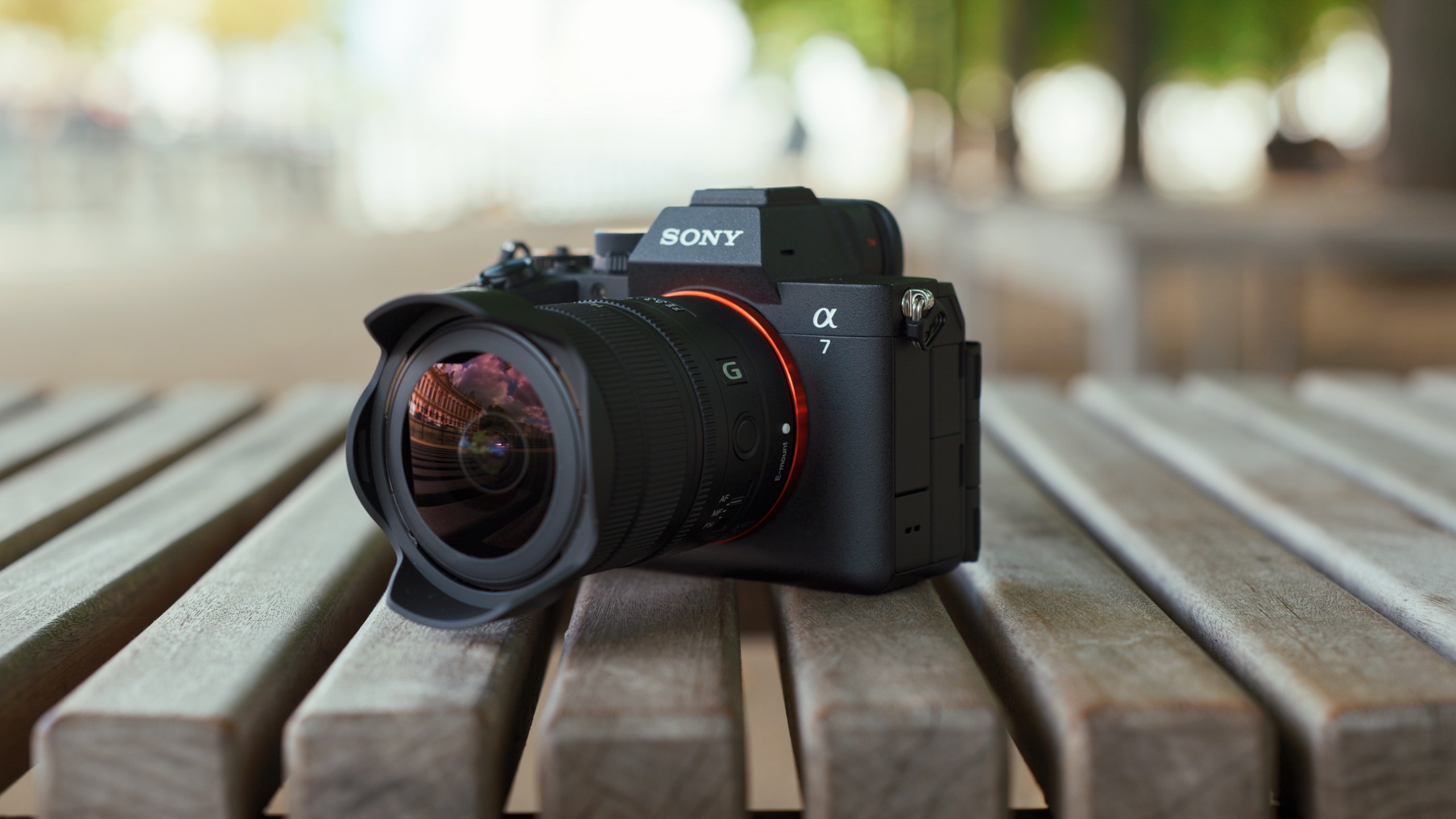 Front three-quarter view of a Sony Alpha mirrorless camera fitted with the Sony FE 8-14mm F3.5 G lens and petal-shaped hood.