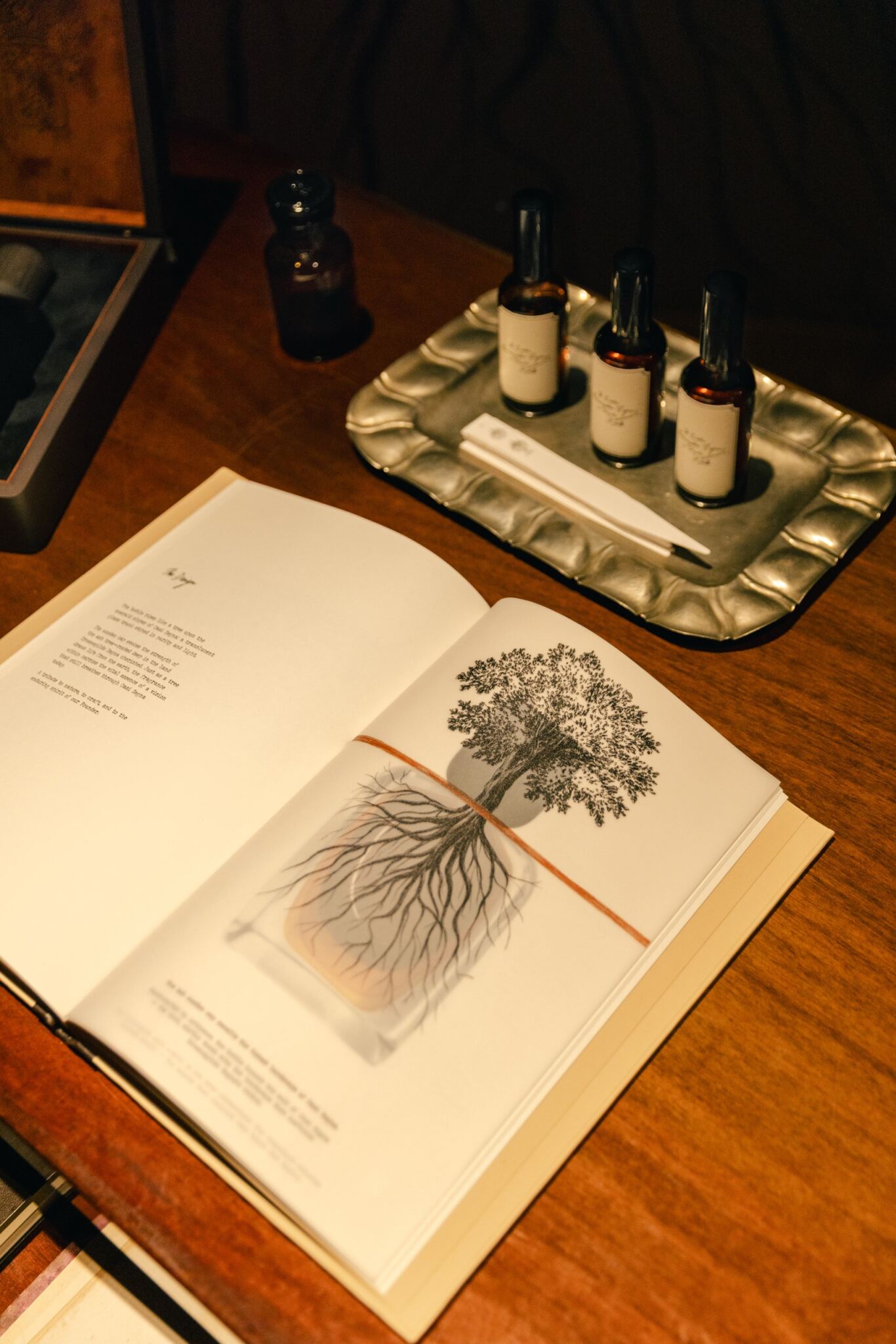Zegna Il Conte perfume