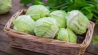 Cabbages in a basket