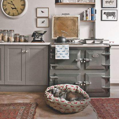 ideal home kitchen with dog basket