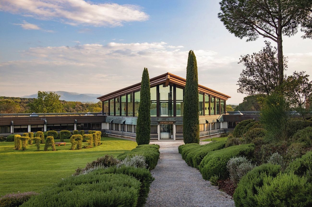 Wine investment: Top-end Tuscan wines buck the trend