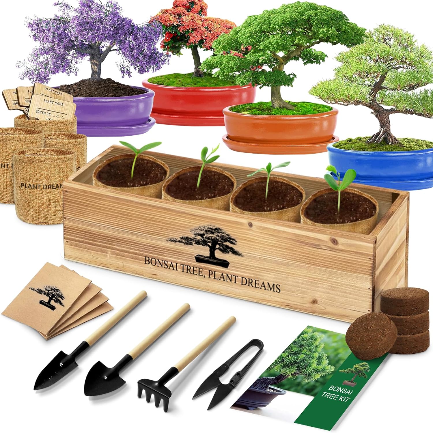 Bonsai Tree Kit, Bonsai Starter Kit With Seeds &amp;amp; Tools, Tree Live Plants Indoor, Gardening Gifts for Women Men Mom Father Plant Lover, Birthday Thanksgiving