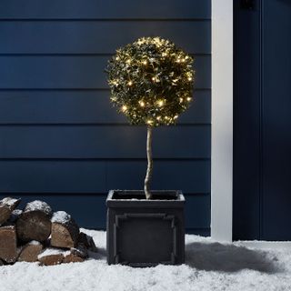 Christmas lights in an outdoor tree next to a dark blue exterior wall