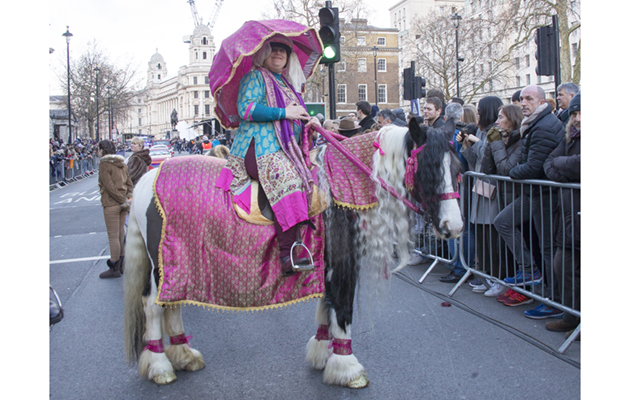 Proving-pink-suits-everyone-this-cob-looks-full-of-eastern-promise.-Photo-by-Jo-Monck.jpg
