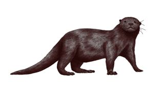 An illustration of the extinct giant otter called Enhydriodon omoensis.