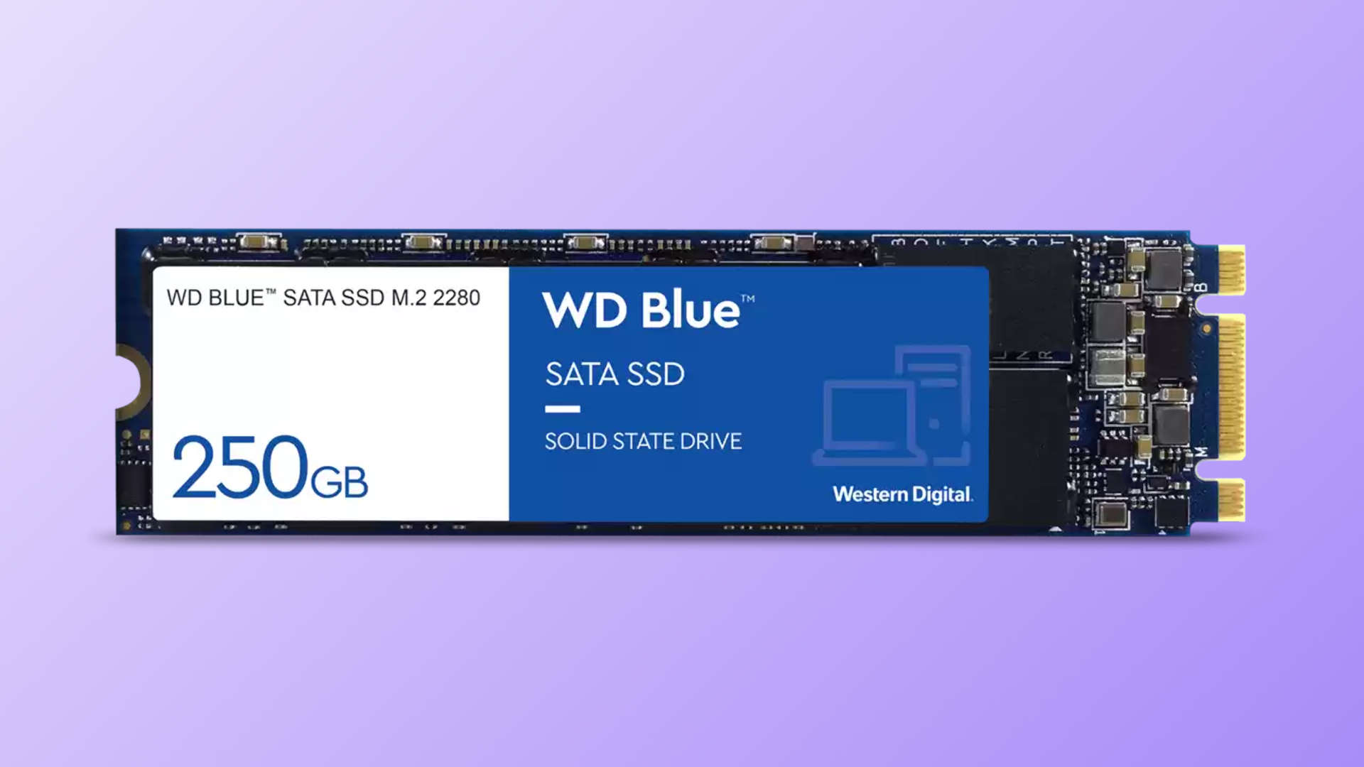 WD Blue SATA M.2 SSD
