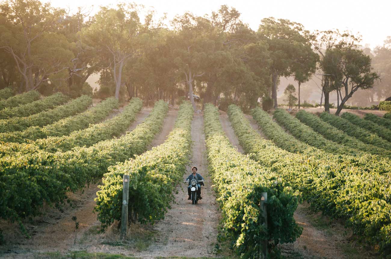 Larry Cherubino riding a motorbike in the vineyards