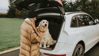 Woman taking dog out of boot of her car
