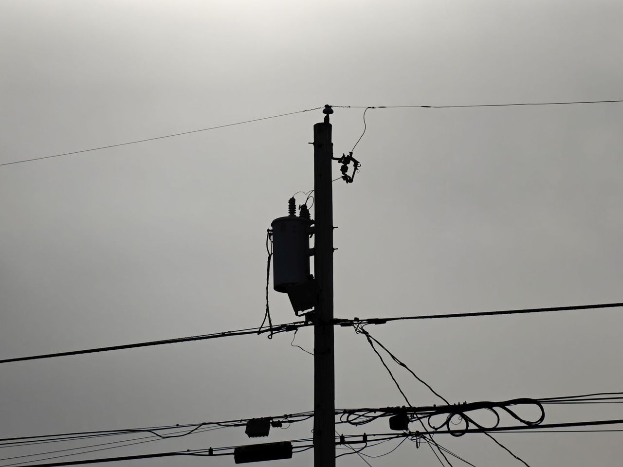 OnePlus 13 zoom sample.