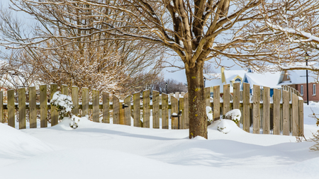 snowy garden