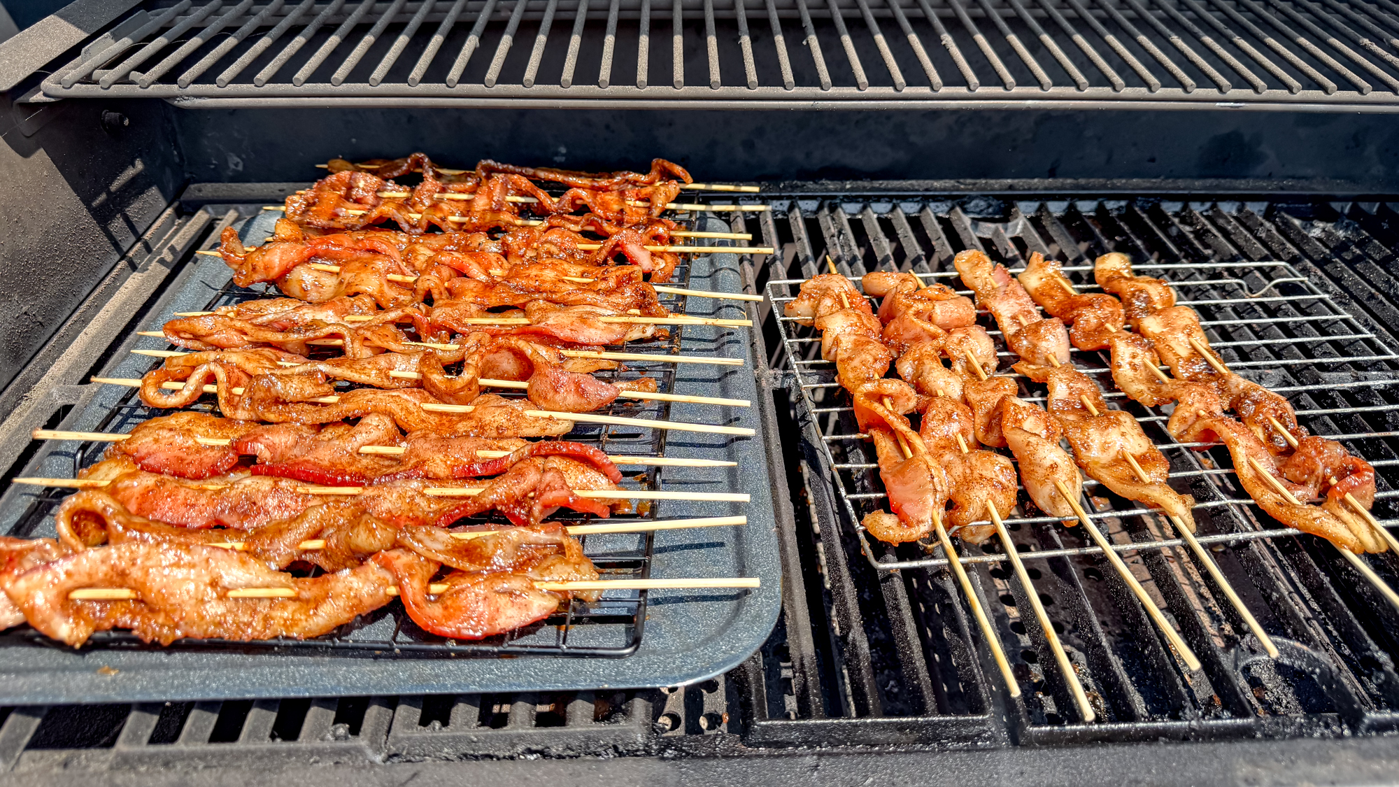 Rectec X-Fire Pro 825 grill and food
