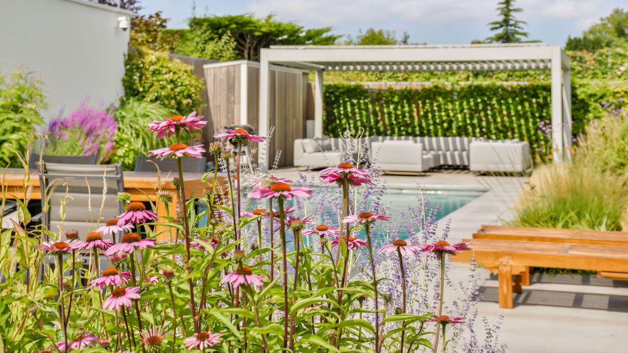 pool area with coneflowers and seats