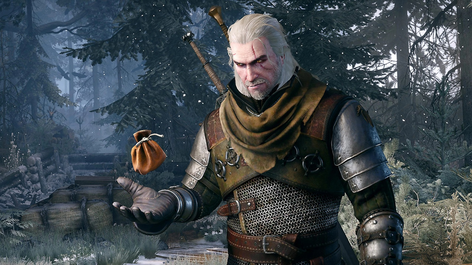 In The Witcher 3: Wild Hunt, Geralt of Rivia holds a coin purse and looks disgruntled