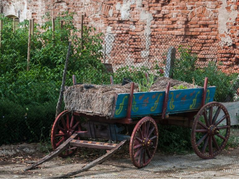 Types Of Garden Cart: Choosing A Garden Cart Wagon | Gardening Know How