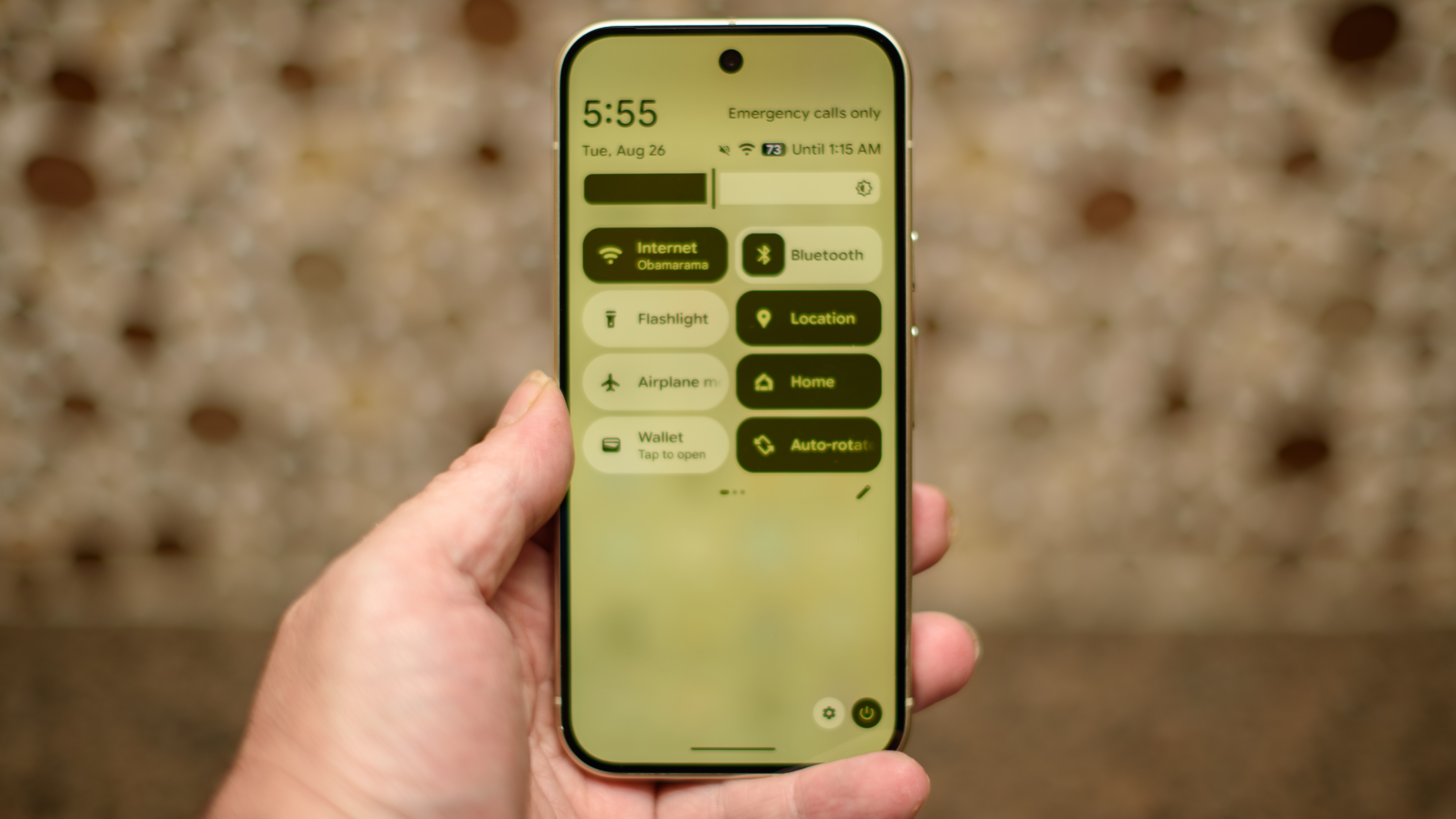 Google Pixel 10 in Lemongrass against a bubbly backsplash