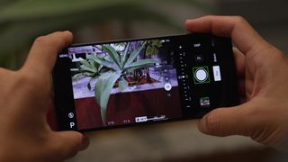 Sony Xperia 1 VI taking a photo of a plant
