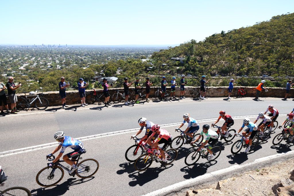 The Tour Down Under peloton climbs Windy Point