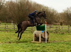 Rosie Fry and Another Breakfast cross-country schooling