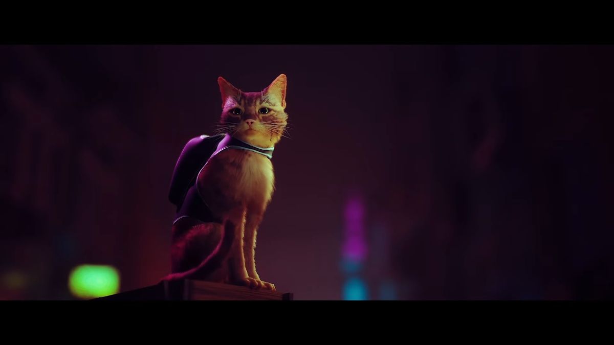 Stray is an upcoming PS5 game about a cat living among ...
