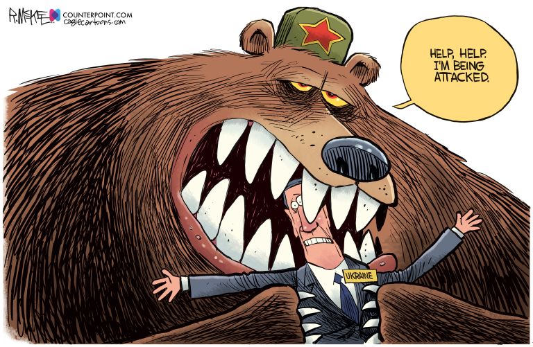 A defenseless bear | The Week