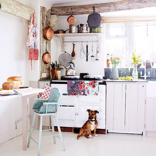 kitchen with range cooker and dog