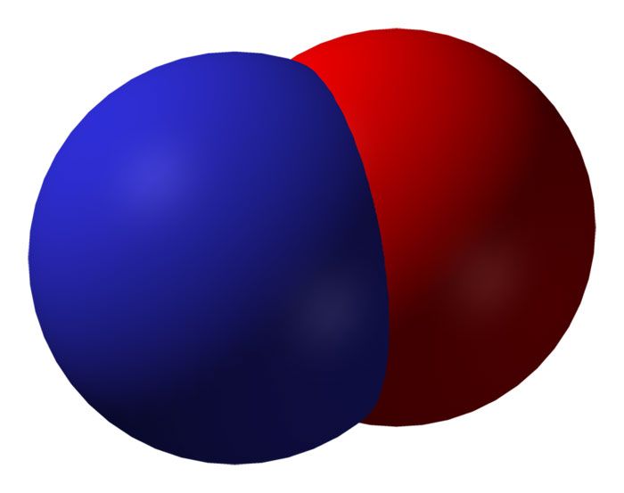 nitric oxide