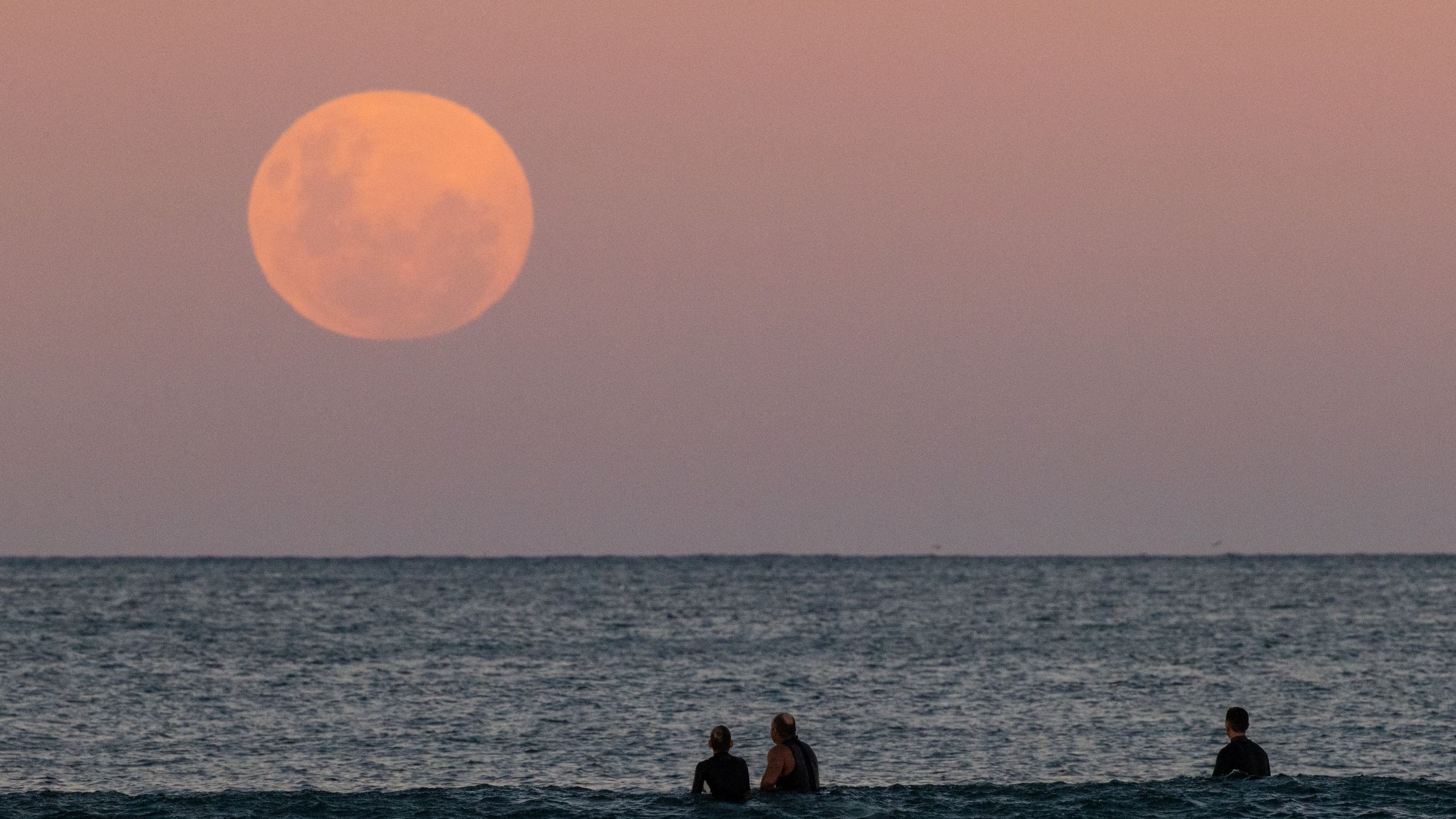 Super Flower Blood Moon: Amazing photos of the total lunar eclipse of ...