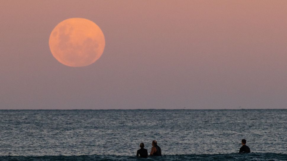 Super Flower Blood Moon: Amazing photos of the total lunar eclipse of 2021