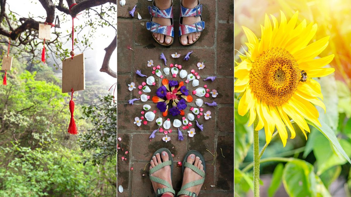 How to celebrate summer solstice at home 5 simple ways Homes & Gardens