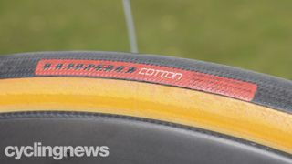 Close up of a Specialized Turbo Cotton clincher tyre