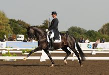 Uthopia2.jpg