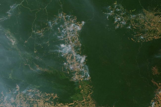 Satellites have been tracking the fires raging through the Amazon rainforest. 