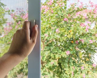 Hand pulling a mesh screen on a window closed on the left side. In the background there is a tree in the backyard with pink flowers