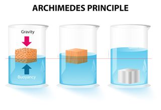 The Archimedes principle: The buoyant (upward) force acting on an object is equal to the weight (downward force) of the displaced fluid.