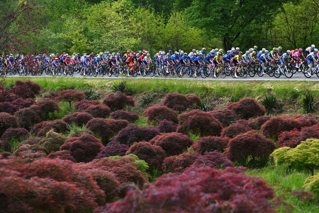 The Giro d'Italia peloton