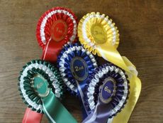 picking-winners-rosettes-e1430496478919.jpg