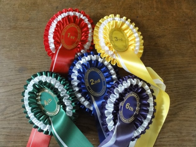 picking-winners-rosettes-e1430496478919.jpg