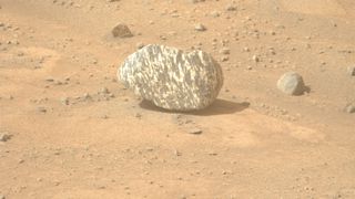 A rock with patterned light and dark marks sits on a red brown dusty ground with smaller rocks and pebbles nearby.