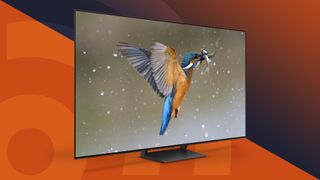 The Samsung S90C TV has an image on it showing a bird flying with a fish in its mouth