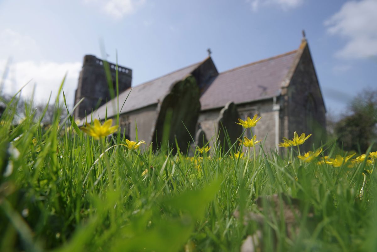 Pentax K-1 Mark II sample image