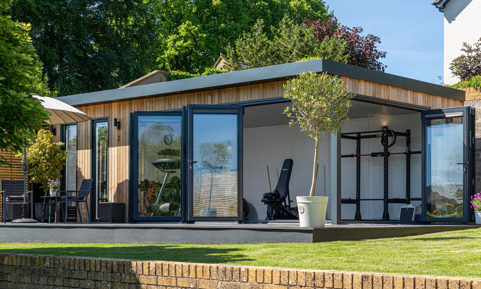 Timber-clad garden gym with folding glass doors open, showing squat rack and bench, olive tree on deck.