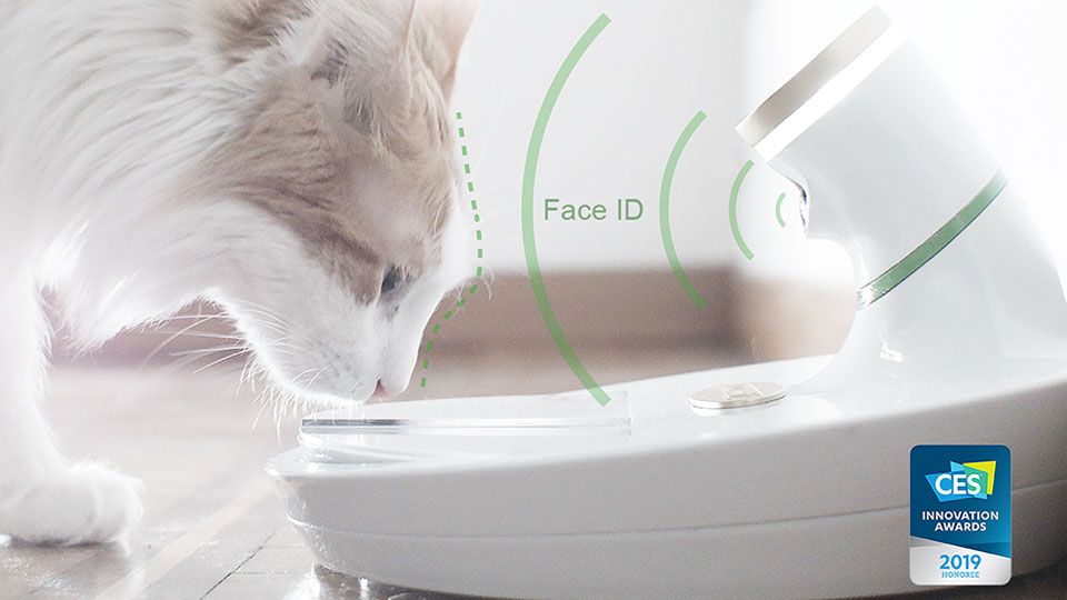 This pet bowl uses facial recognition to stop strange kitties eating