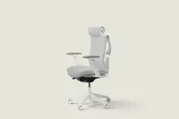 Desktronic SitPro Ergonomic Chair Desktronic SitPro Ergonomic Chair