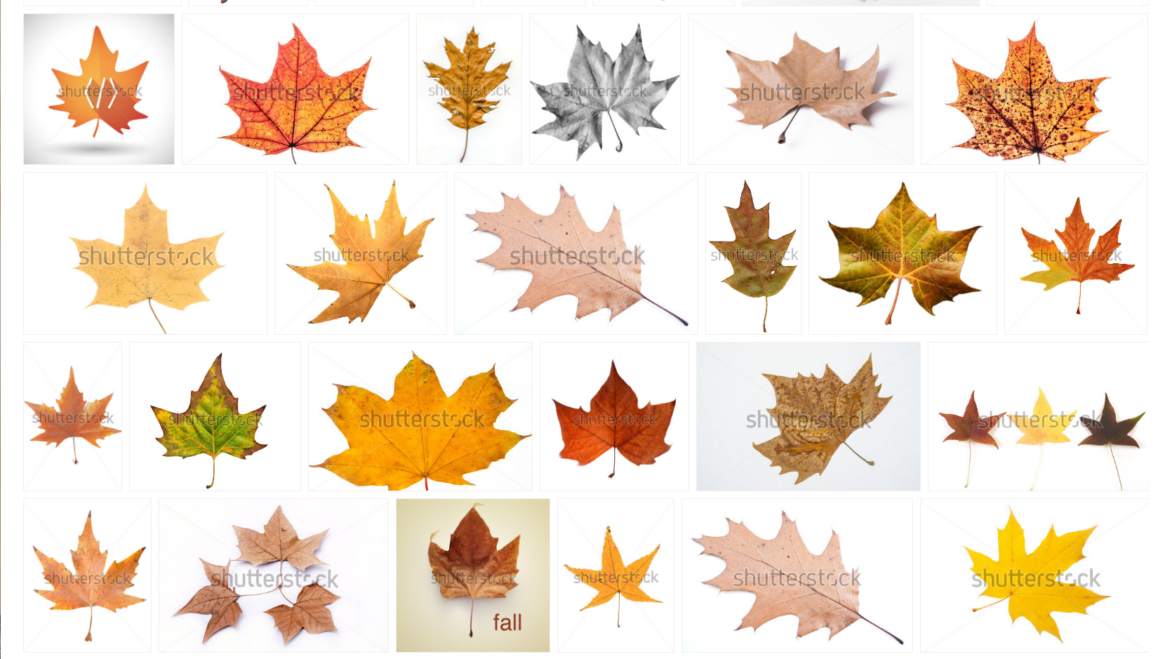 Image search results are impressive