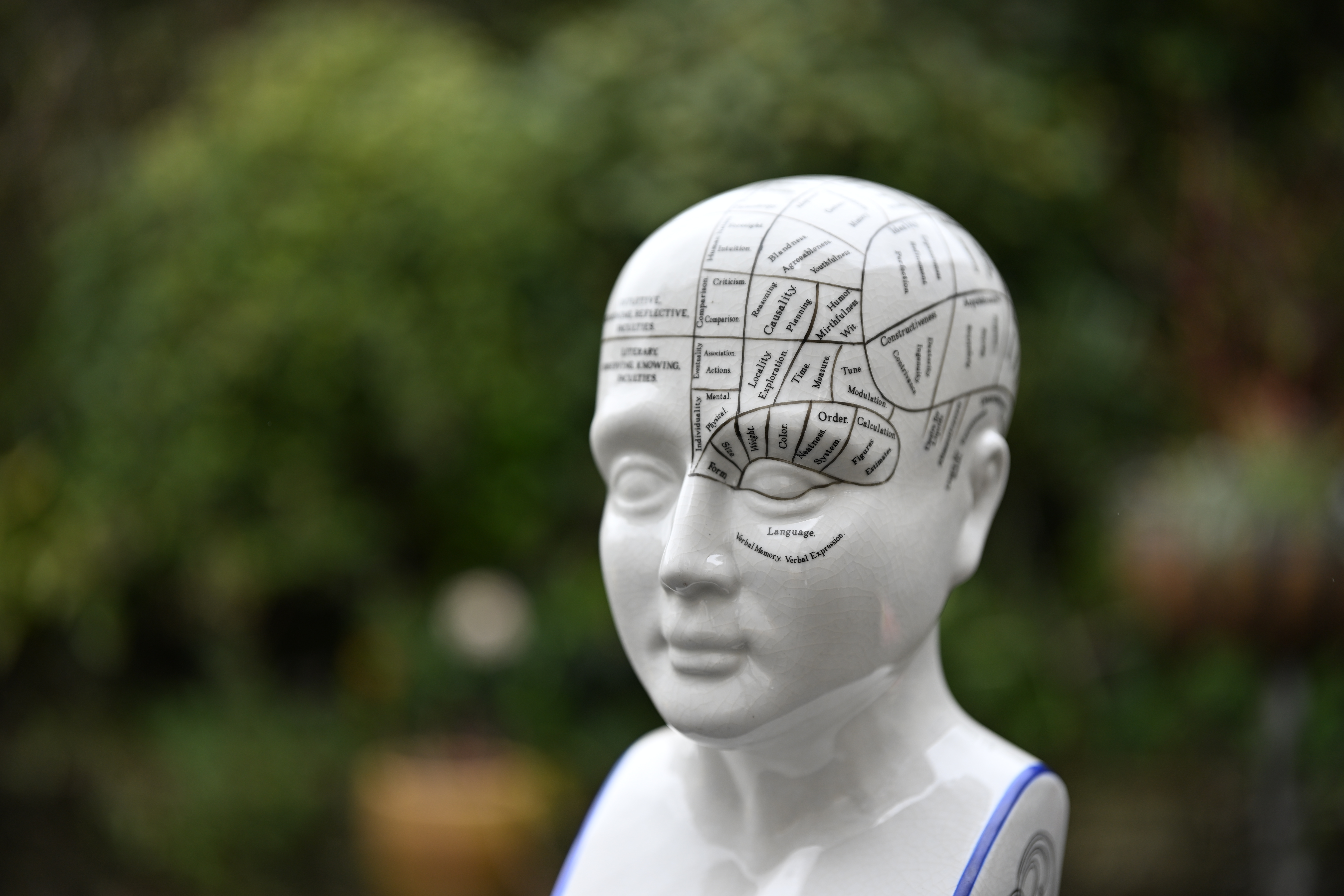 Viltrox AF 55mm f/1.8 Evo sample image