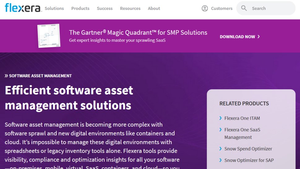 Flexera website screenshot (June 2025).