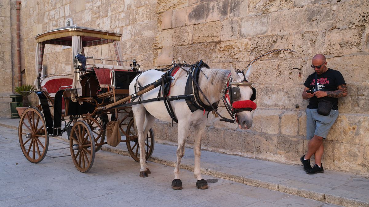 Fujifilm X100VI image gallery: man with his horse and cart in an old alleyway in Valetta, Malta