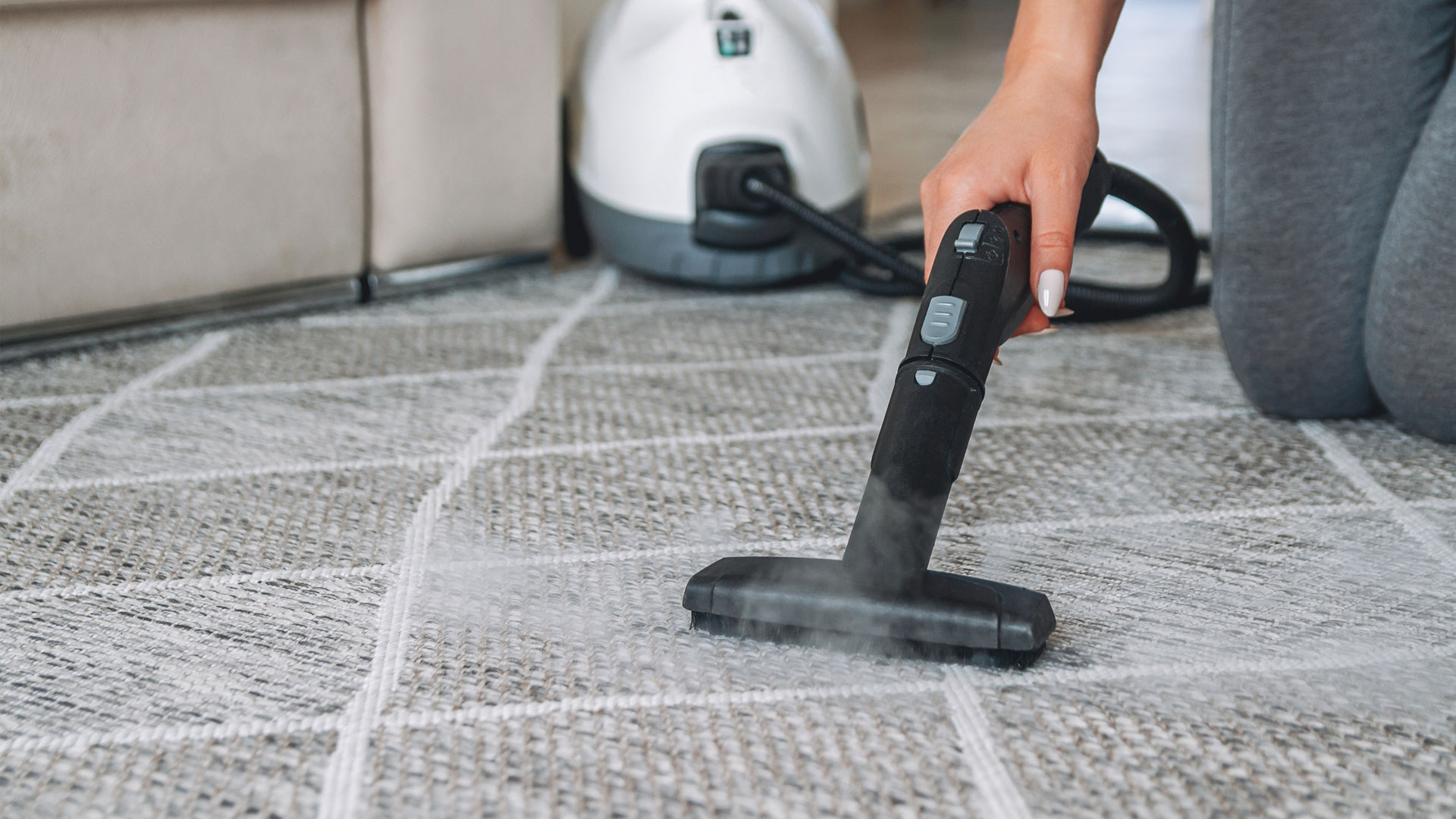How to remove carpet mold: The picture shows the steam cleaner cleaning the carpet