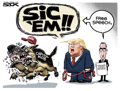 Political Cartoon U.S. trump impeachment defense